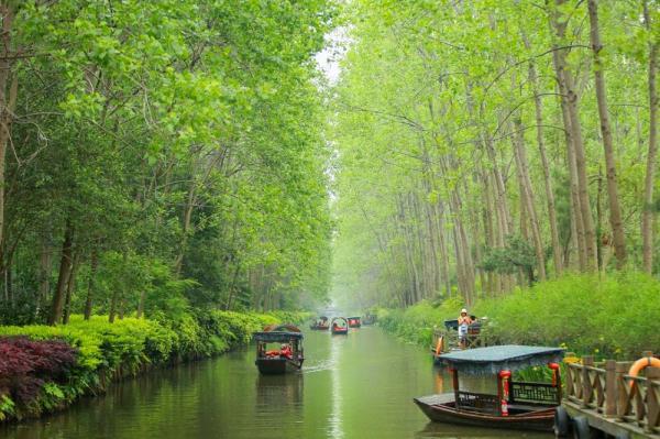 芜湖凤凰美食街吃饭贵吗_芜湖凤凰美食街必吃_芜湖凤凰美食街吃饭的地方