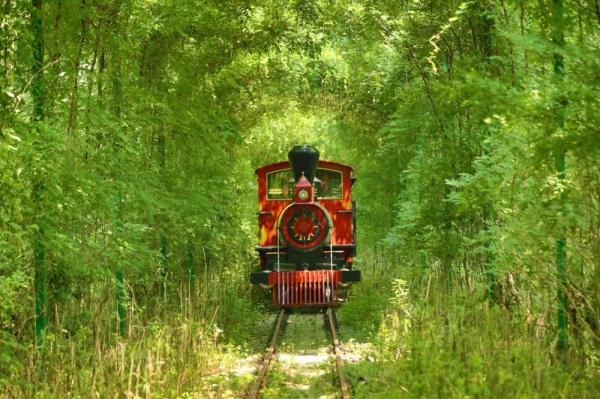 芜湖凤凰美食街必吃_芜湖凤凰美食街吃饭的地方_芜湖凤凰美食街吃饭贵吗