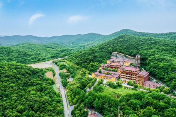 芜湖凤凰美食街必吃_芜湖凤凰美食街吃饭的地方_芜湖凤凰美食街吃饭贵吗