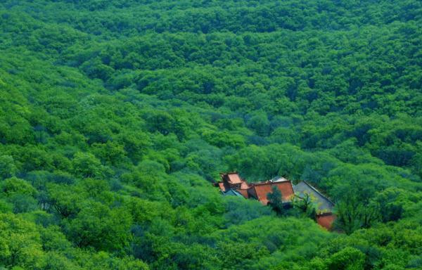 芜湖凤凰美食街吃饭的地方_芜湖凤凰美食街吃饭贵吗_芜湖凤凰美食街必吃