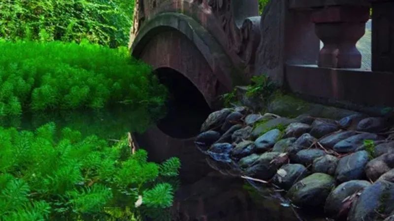 芜湖大司马各个时期_芜湖司马_芜湖司马的爸爸