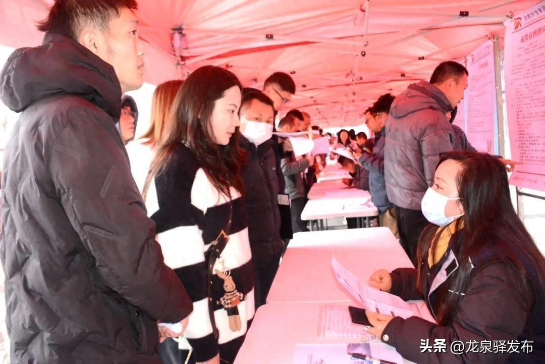 龙泉驿求职_龙泉求职_龙泉求职信息网