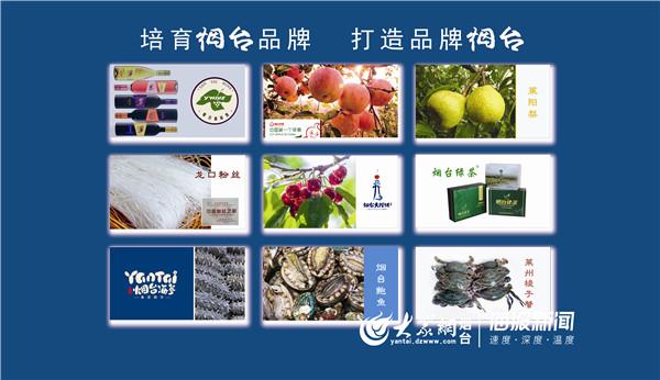 烟台金质网_山东金质网官网_烟台质监局珠宝鉴定中心电话