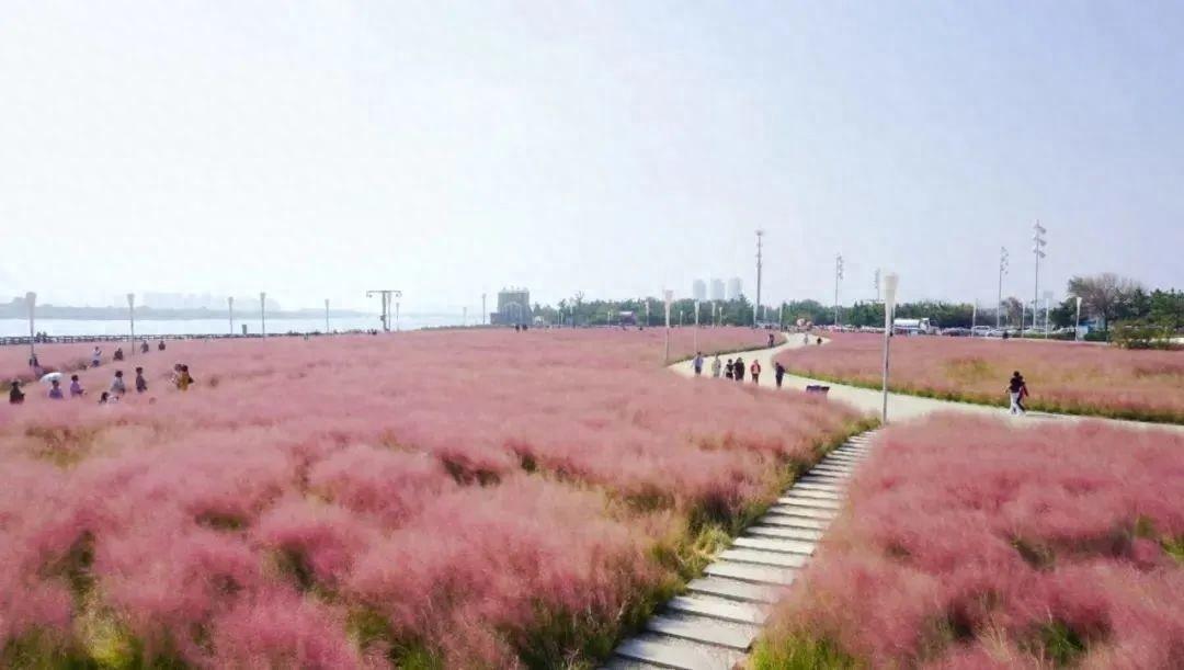 烟台澎湖湾广场_烟台澎湖湾婚宴酒店_烟台开发区澎湖湾广场