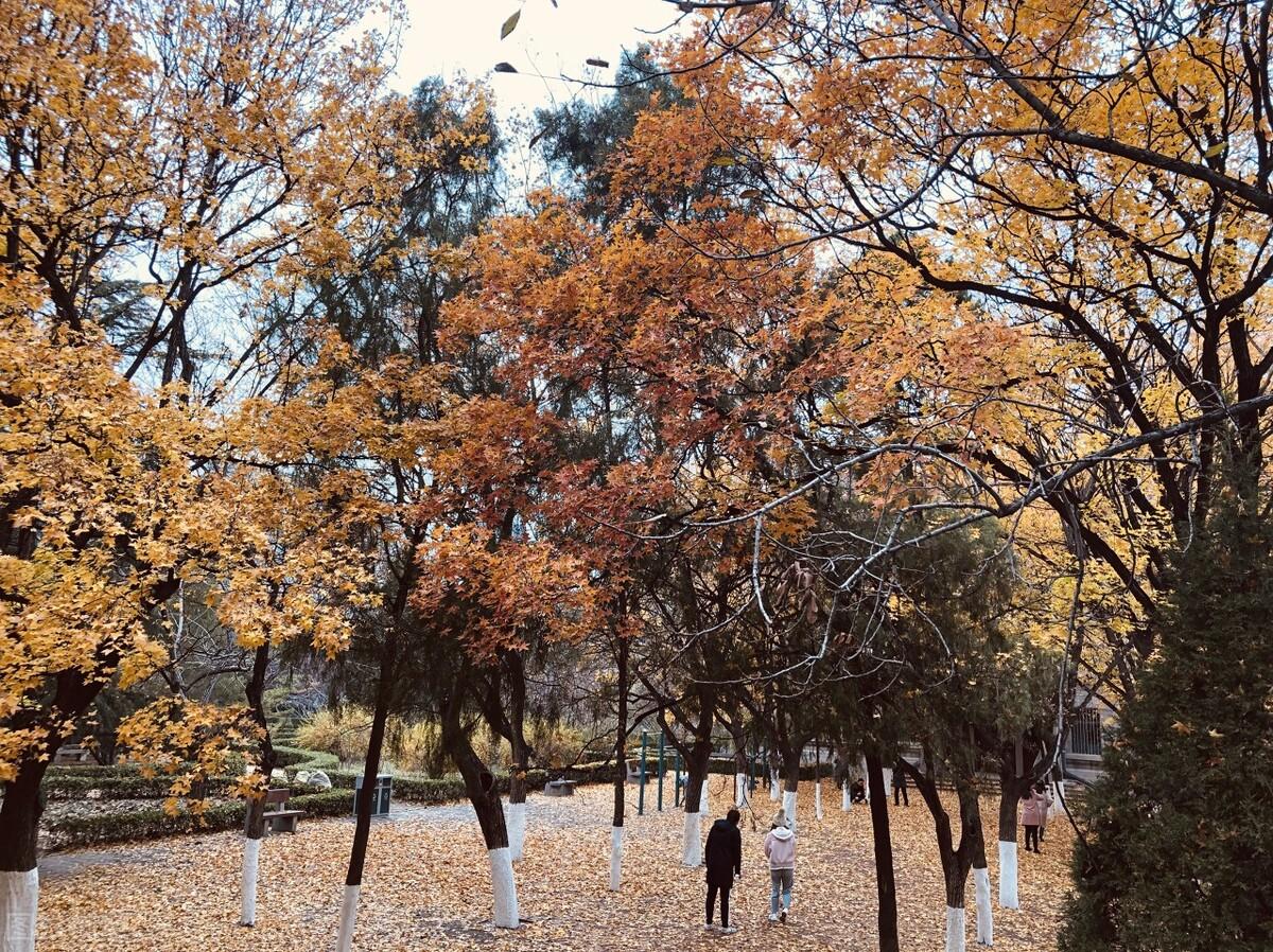 烟台汽车工程学院是全日制的吗_烟台汽车工程技术学院_烟台学院汽车工程技术怎么样