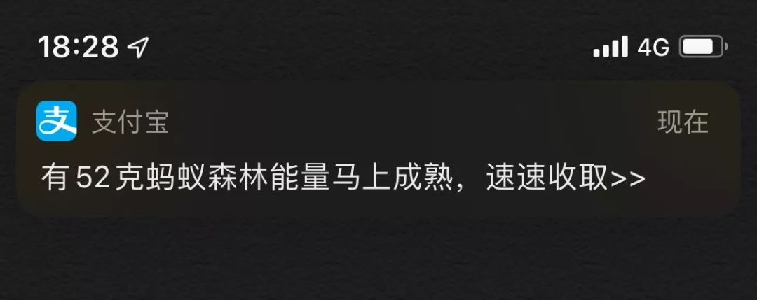 备份相册软件好用吗_备份相册什么软件好用_备份相册的软件推荐