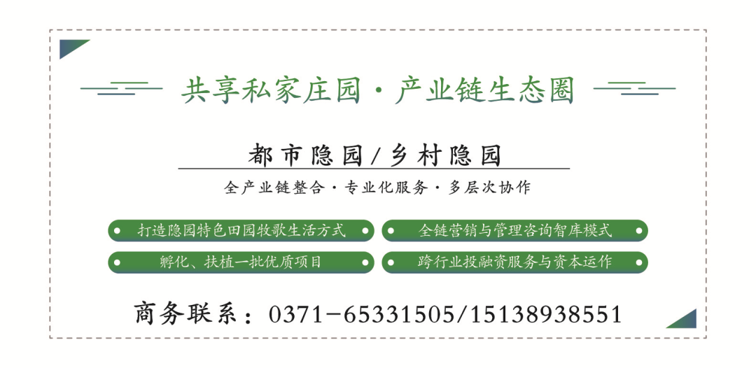 张家界天门山国家森林公园网红项目——景区引流利器(图6)