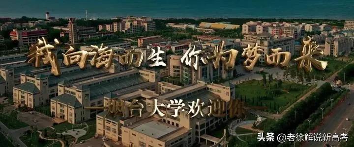烟台大学专业排名一览表_烟台大学专业_烟台大学专业录取分数线