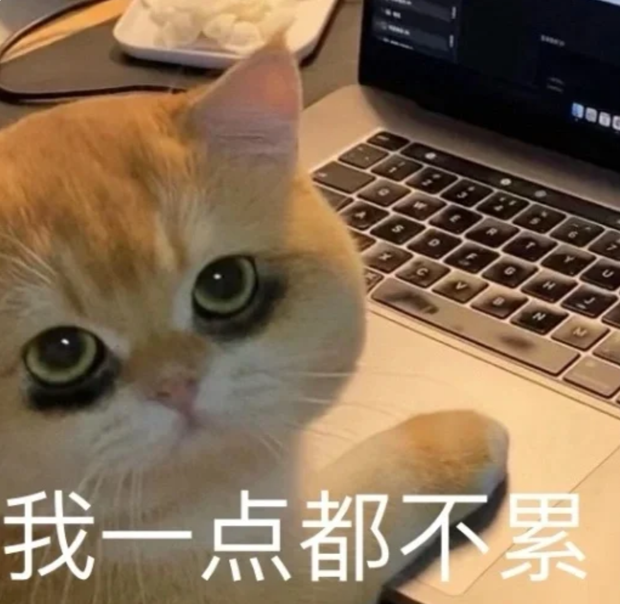 芦山企业今日份招聘信息已送达~