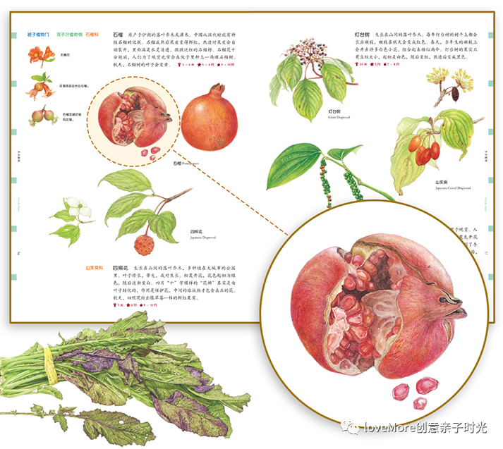 职场新物种读后感_职场新物种读后感_职场新物种读后感