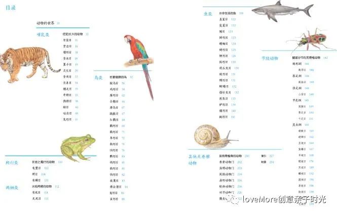 职场新物种读后感_职场新物种读后感_职场新物种读后感