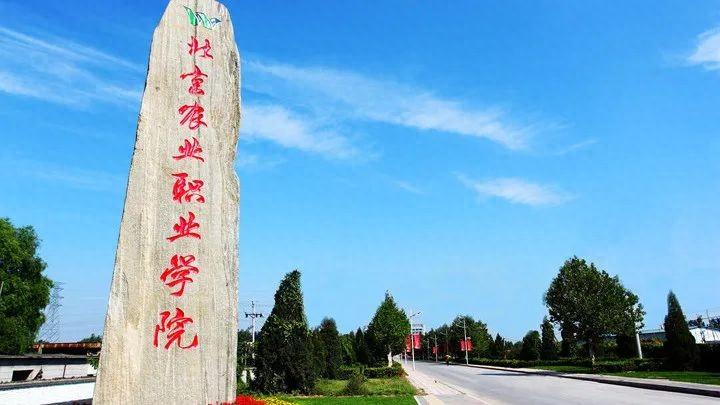 招聘信息_招聘信息发布文案_招聘信息表格模板