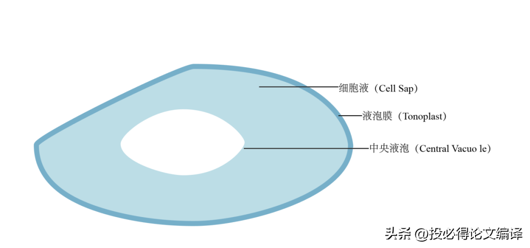 绘图教程软件有哪些_绘图软件教学视频_绘图软件教程