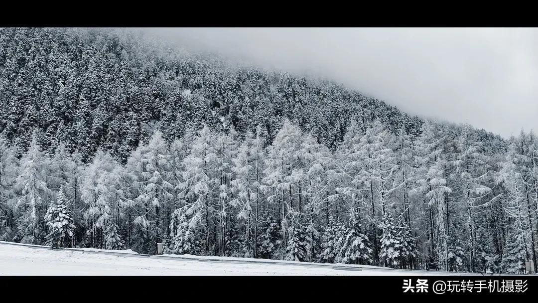 留白图片软件_留白图片拼图_留白的美图软件