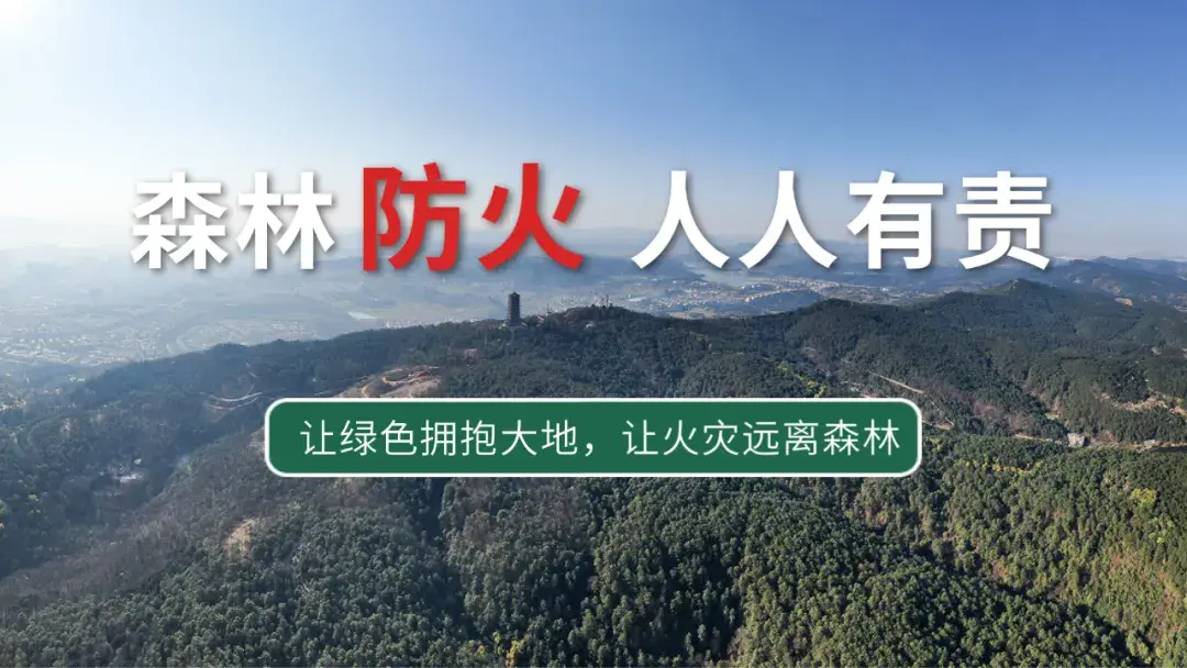 招聘58同城找工作_招聘_招聘平台免费