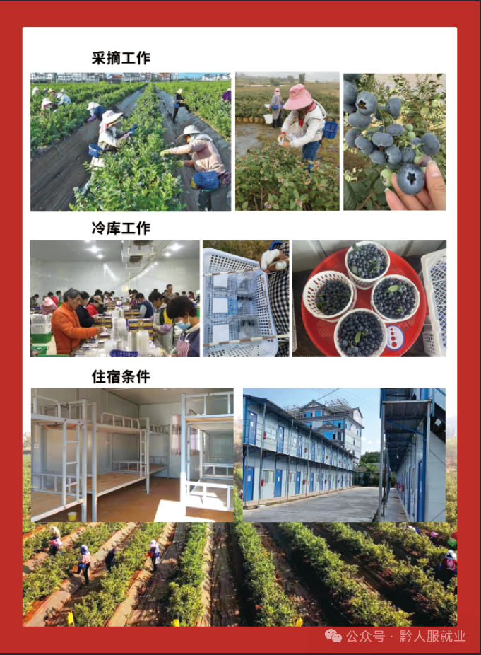 招聘_招聘平台免费_招聘网boss直聘