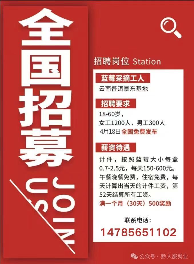 招聘_招聘平台免费_招聘网boss直聘