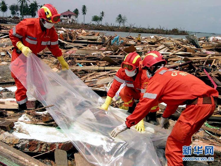 合肥地震最新消息2024_合肥地震最新消息2024年_合肥地震最新消息今天新闻