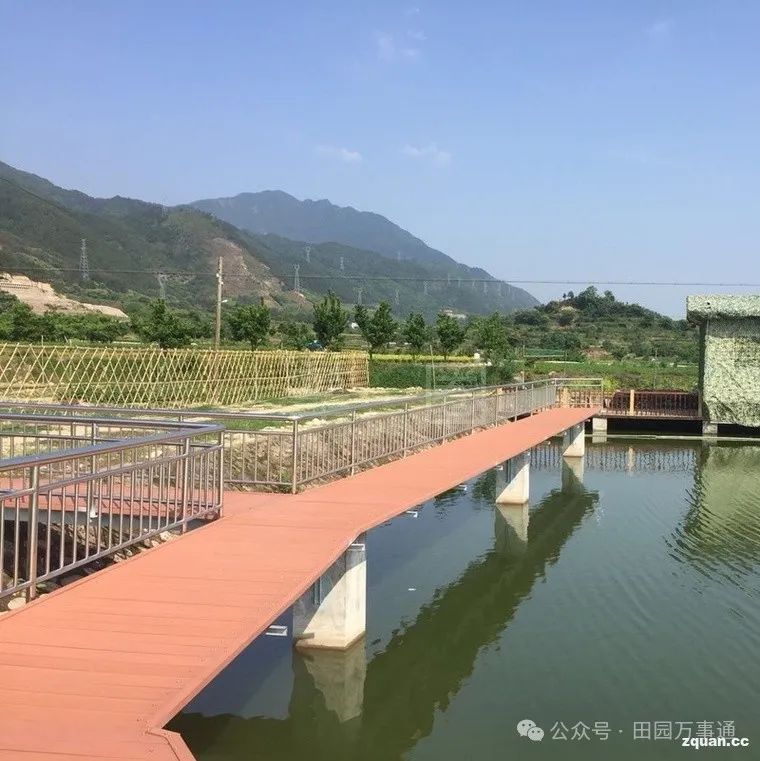 松阳招聘_松阳招聘网_松阳本地招聘信息