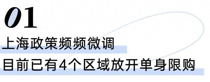2021上海新房产政策出台_上海2021年房产新政解读_上海2024房产新政