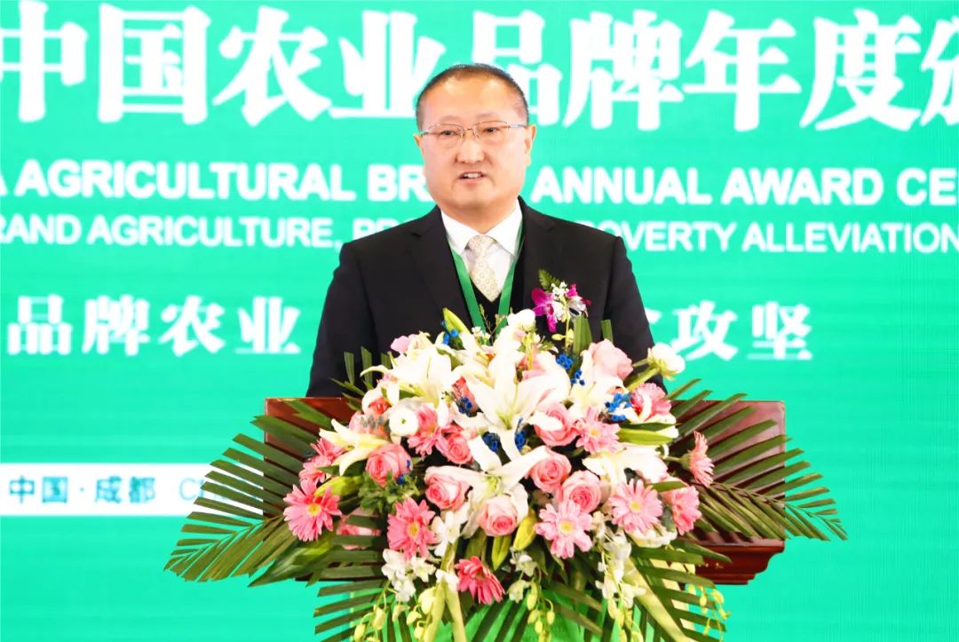 柳桃 营销 2020第六届中国农业品牌年度颁奖盛典在成都举行(图11)