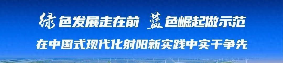 射阳 关于2023年江苏省社区社会组织优秀案例评选结果的通知