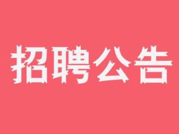 招聘_招聘平台免费_招聘网boss直聘
