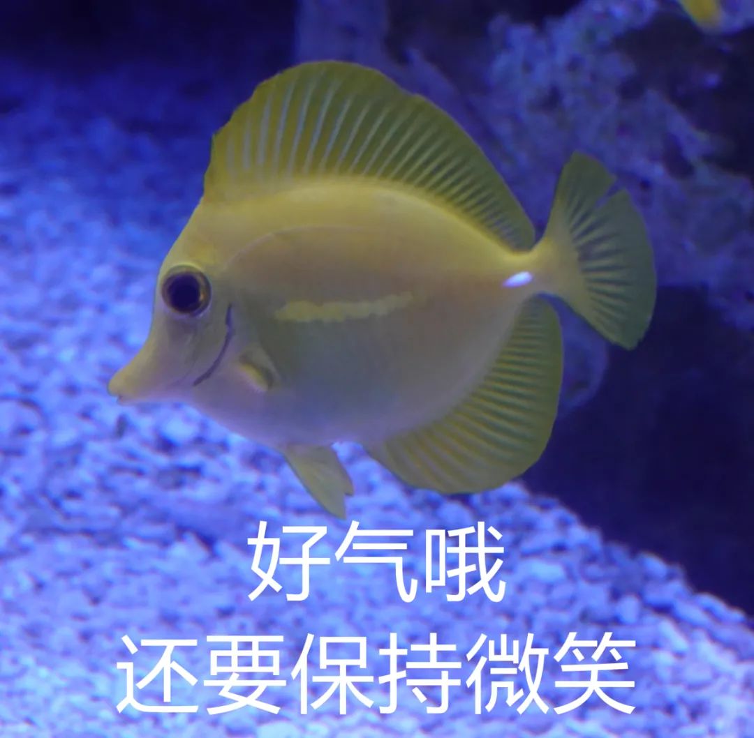 登记照能用手机拍吗_手机拍登记照用什么软件_有没有拍登记照的软件