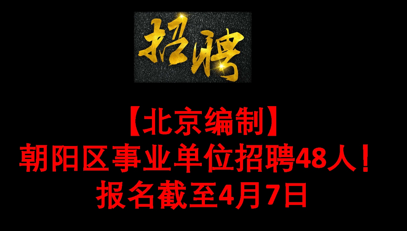 招聘_招聘网boss直聘_北京人才网招聘招聘