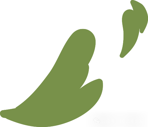 api展会2024_米兰家具展会2024_2024展会