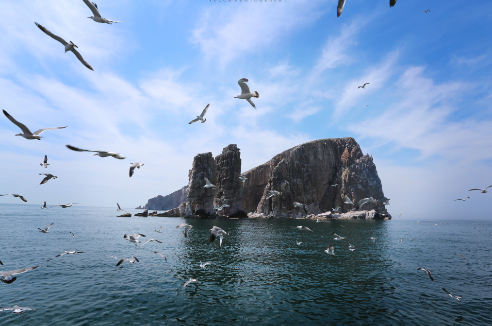 烟台免费游玩_烟台免费旅游攻略必去景点_去烟台到哪儿免费玩