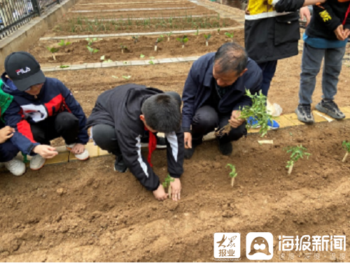 烟台电子工业学校电话_烟台电脑学校_烟台学校电话