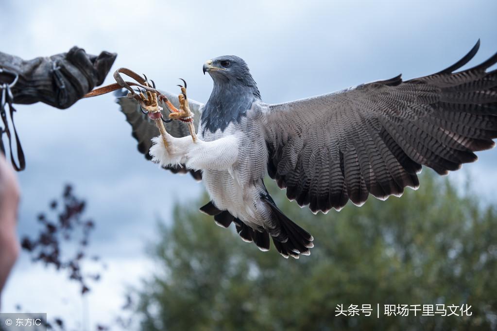 职场故事真实案例大全_职场故事78则_职场故事小说