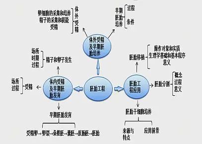 手机抢网速与什么有关系吗_抢网速神器下载安装_手机抢网速软件