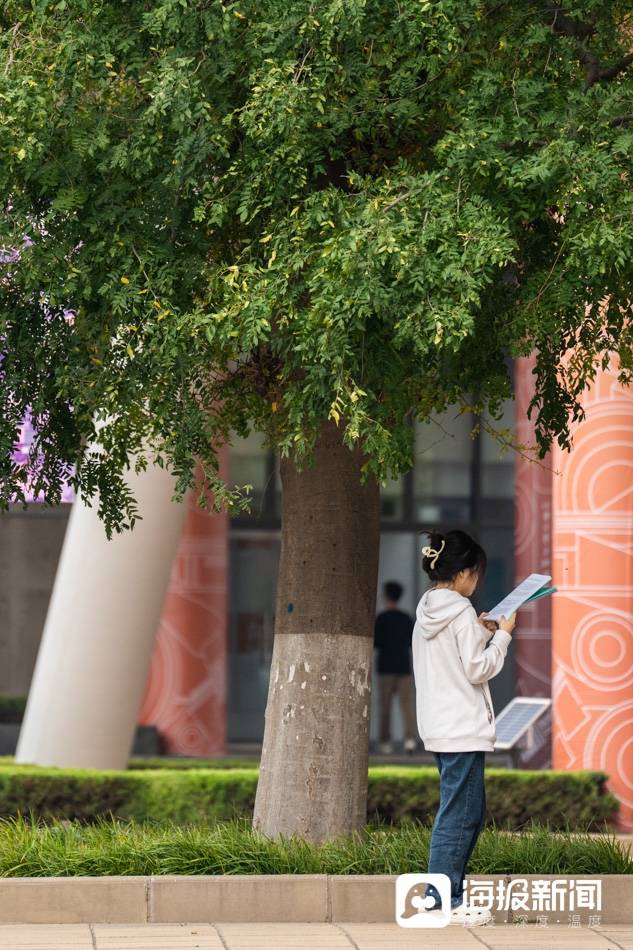抚顺人才网招聘招聘_招聘_北京人才网招聘招聘