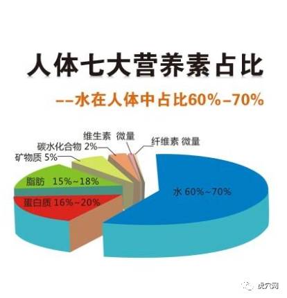 减肥软件好轻_减肥软件好用_减肥的软件那个最好