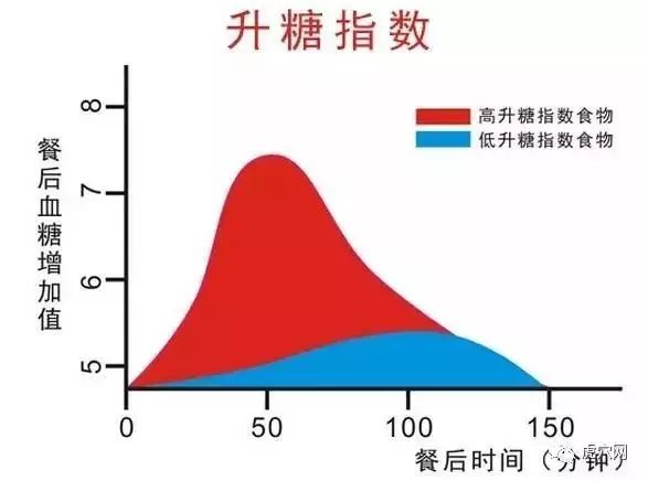 减肥软件好用_减肥软件好轻_减肥的软件那个最好