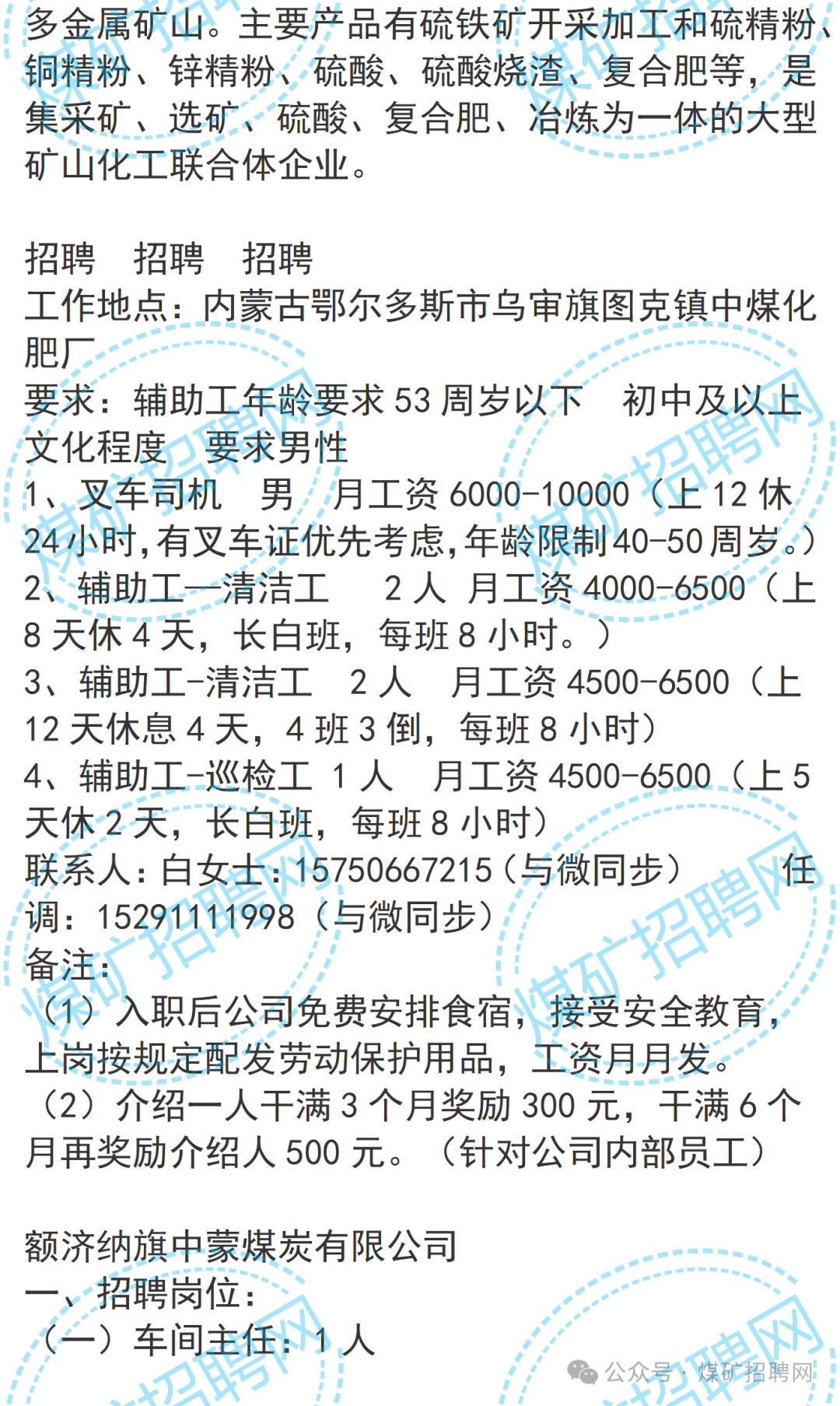 招聘信息免费模板_招聘信息在哪个网站看_招聘信息