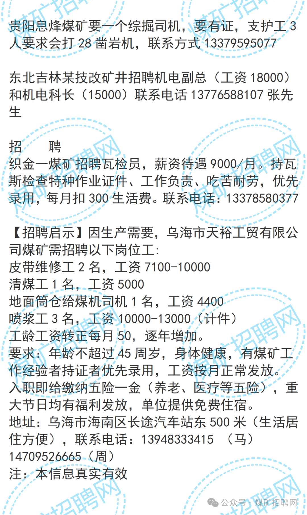招聘信息免费模板_招聘信息_招聘信息在哪个网站看