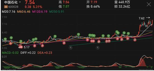 股票分析师骗局_股票骗局老师讲课_骗局股票师分析论文