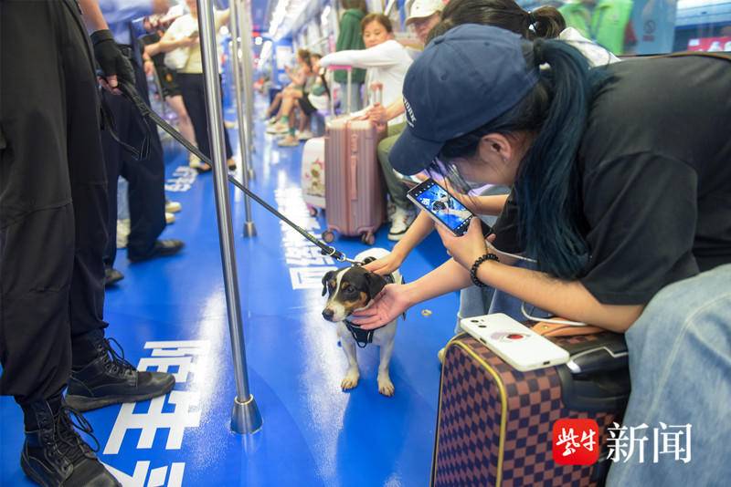 南京警方防骗宣传片_南京市诈骗的报道_南京防诈骗宣传