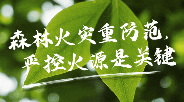 招聘信息最新招聘2024_招聘信息渠道有哪些_招聘信息