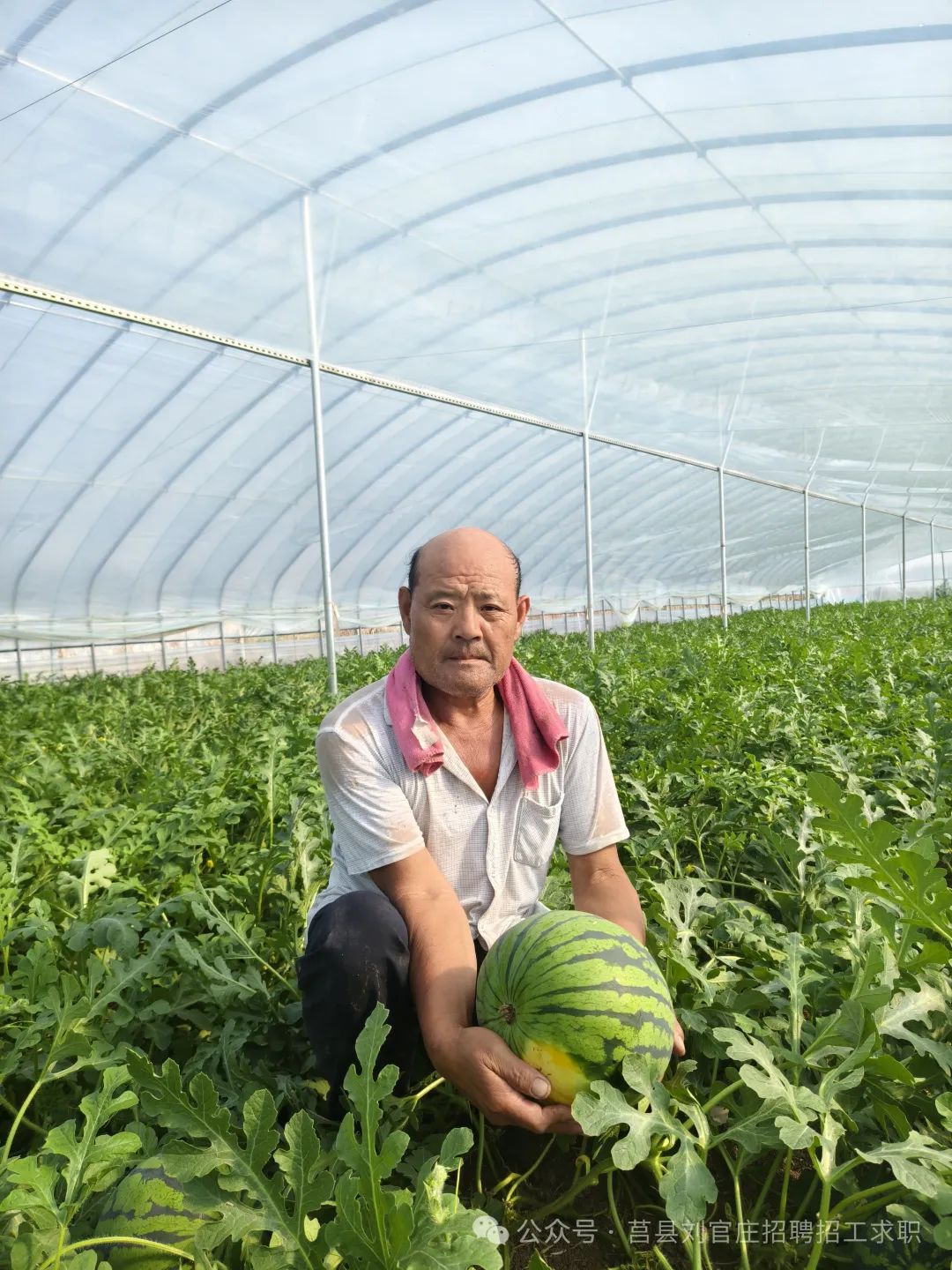招工最新招聘信息_招工最新招聘信息58同城_招工