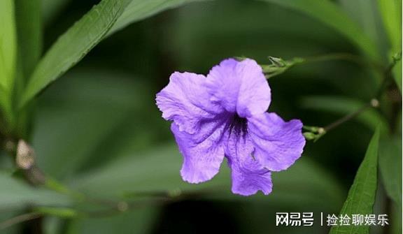 钢结构铆工图纸怎么看方向图例_钢结构铆工图纸讲解_钢结构铆工图纸