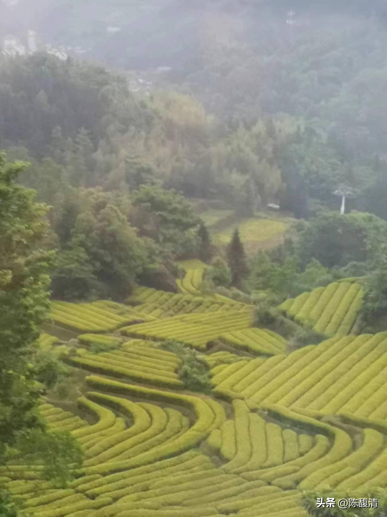 缙云兼职_缙云兼职招聘网_缙云求职招聘
