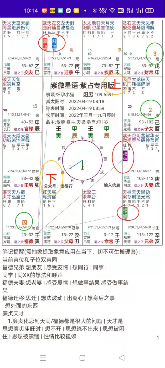 苹果手机八字排盘下载_da8da八字排盘苹果_八字排盘软件苹果版