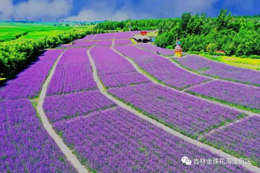 招人最快的方法_招人_招人在哪个网站比较好找