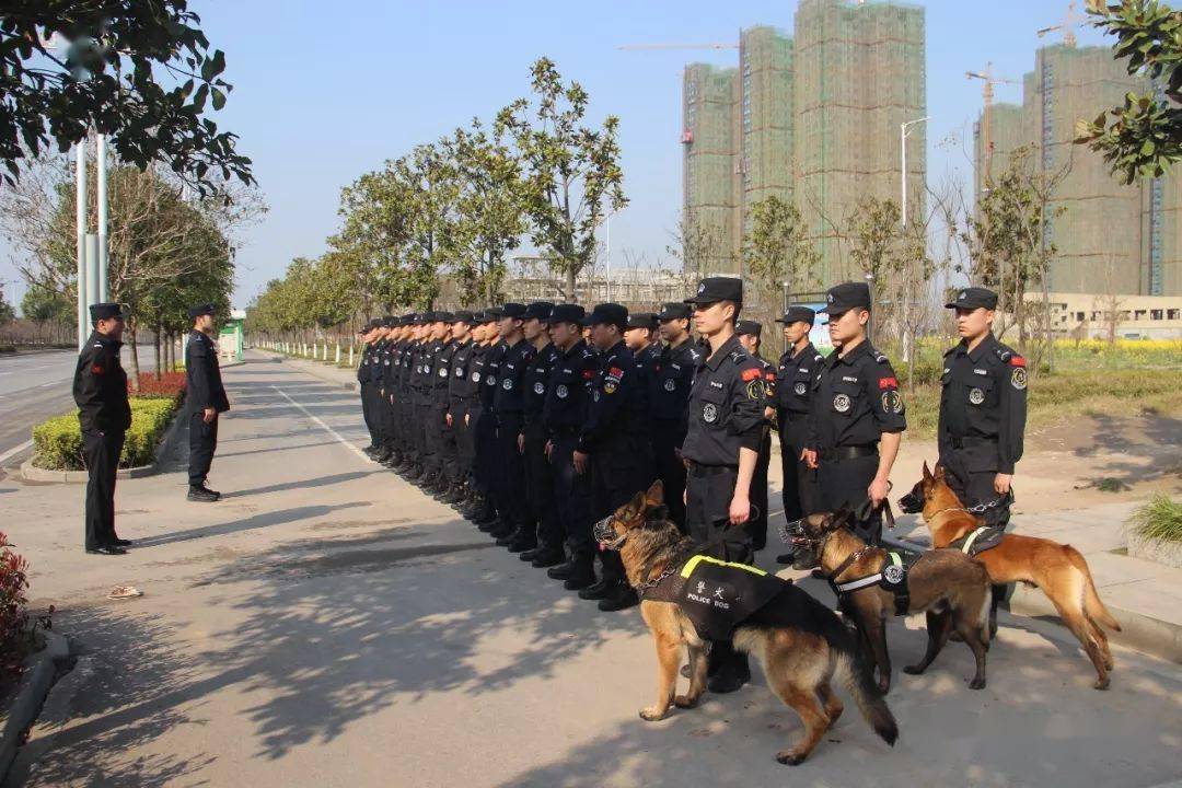 招聘网boss直聘_招聘网_招聘