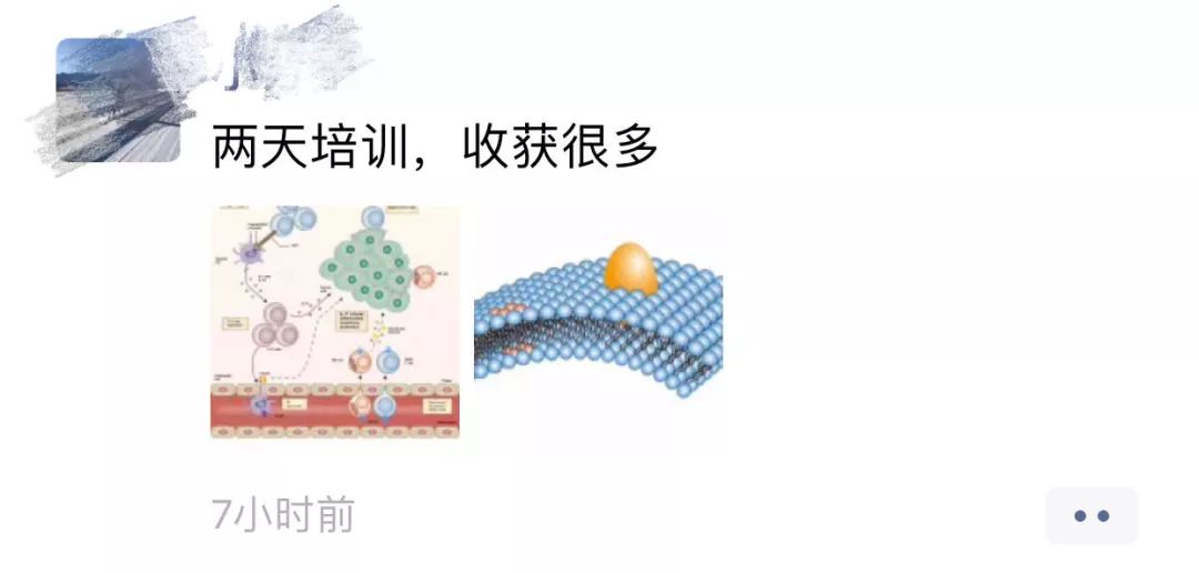 电子杂志制作软件教程_教程杂志电子制作软件哪个好_杂志版教程