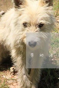 招聘信息在哪个网站看_招聘信息_招聘信息免费模板